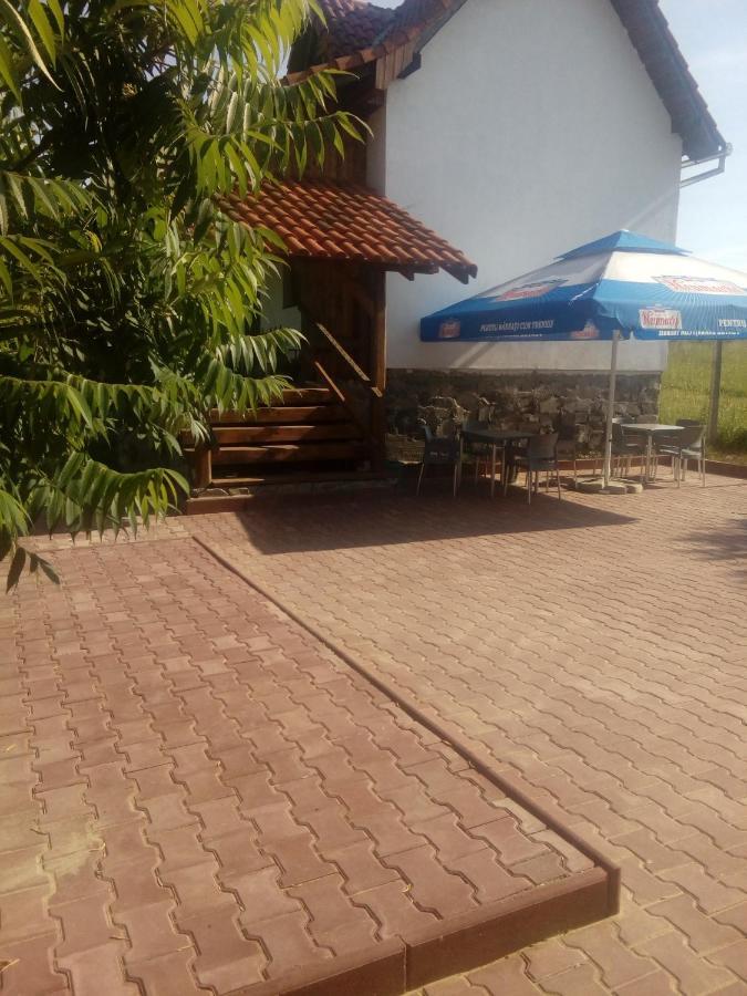 סיגישוארה Vila Sura Razoare מראה חיצוני תמונה