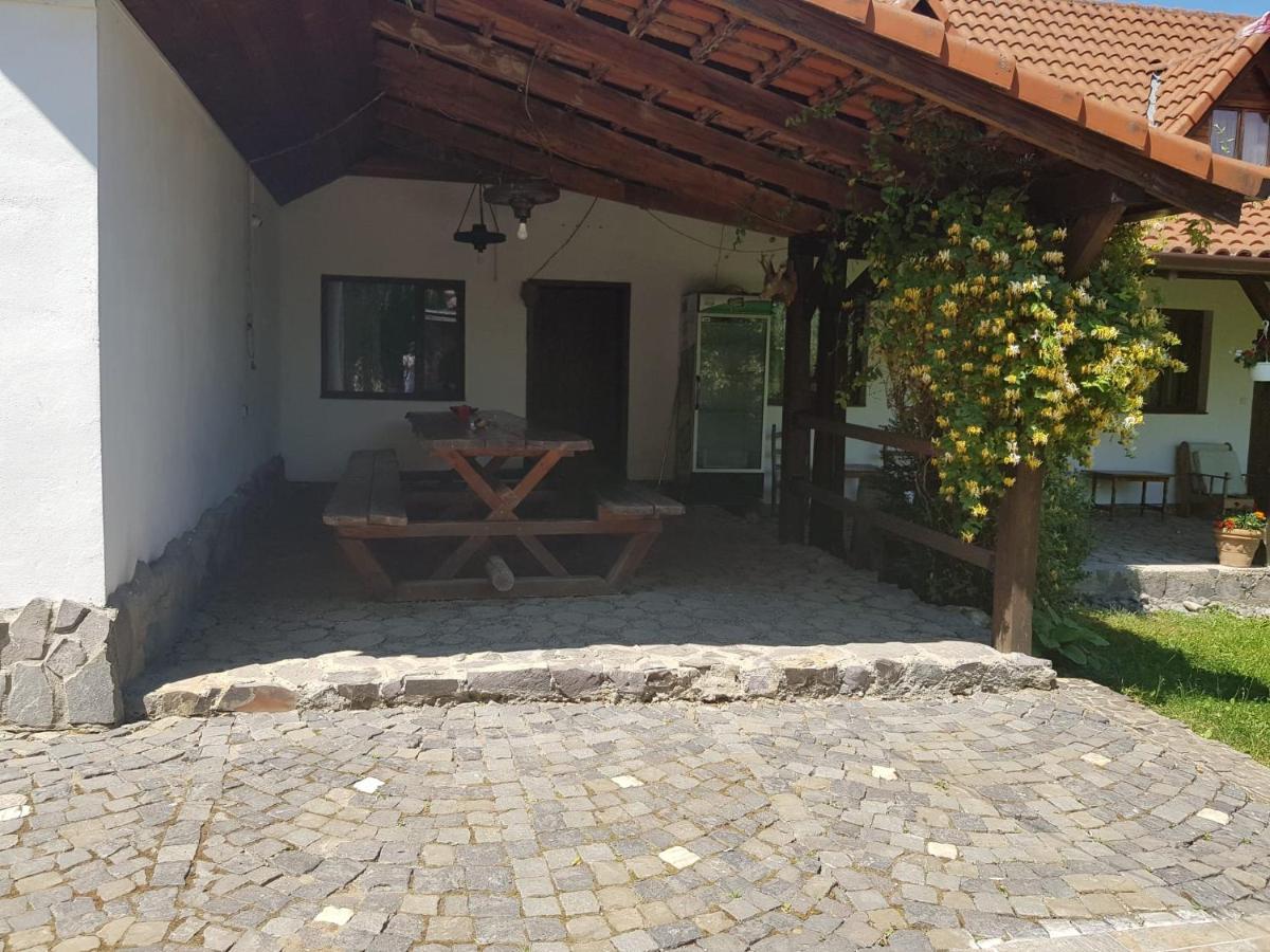 סיגישוארה Vila Sura Razoare מראה חיצוני תמונה