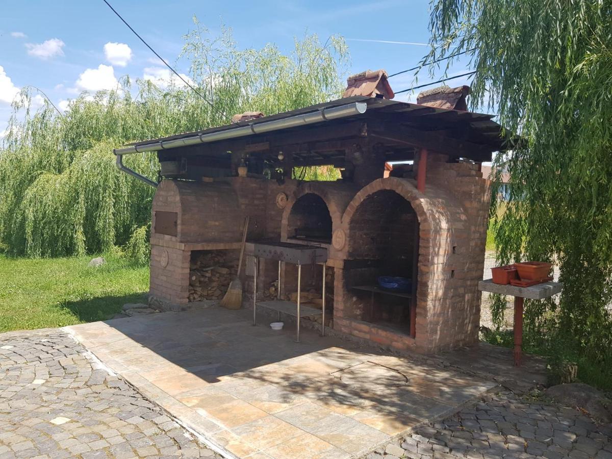 סיגישוארה Vila Sura Razoare מראה חיצוני תמונה