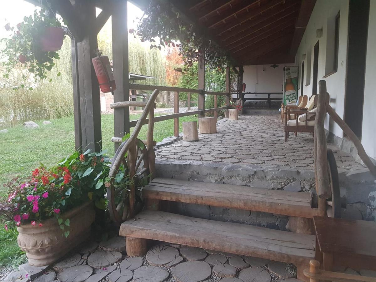 סיגישוארה Vila Sura Razoare מראה חיצוני תמונה