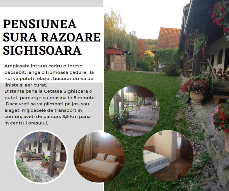 סיגישוארה Vila Sura Razoare מראה חיצוני תמונה