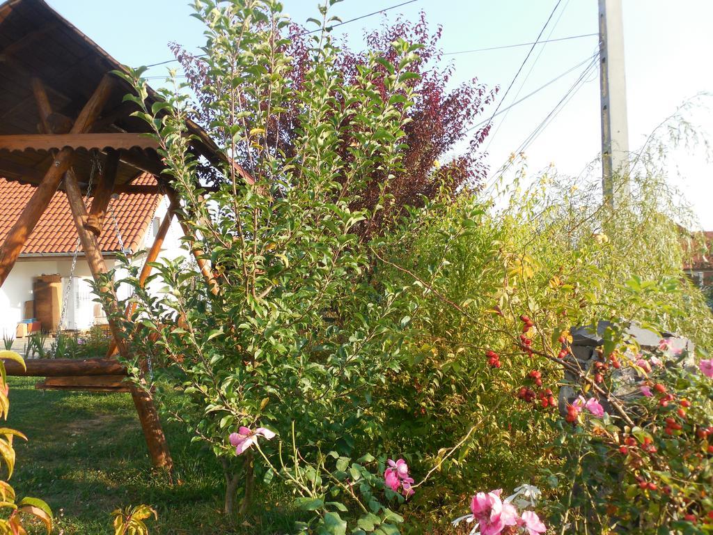 סיגישוארה Vila Sura Razoare מראה חיצוני תמונה